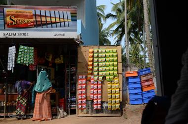 On the Route to Chowara Beach,_DSC_9083_H600